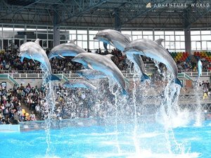 �y���ӊό��n�z�A�h�x���`���[���[���h�E�}�������C�u