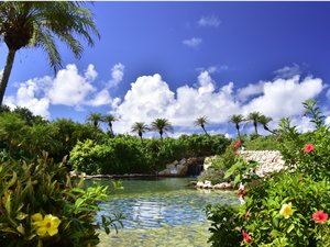 シギラ黄金温泉（シギラリゾート内）/水着着用のジャングルプールは温水なので1年中ご利用可能です。
