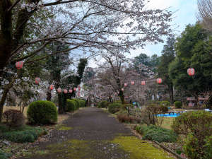 �y���Ӂz��R�������l�G��ʂ��ĎU�􂪊y���߂܂��I��