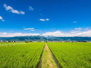 水がきれいなことから水田が多く、のどかな風景が広がる安曇野