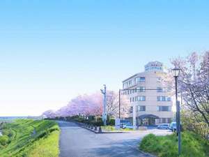 【外観・桜】桜の季節になると満開の桜が見られます。