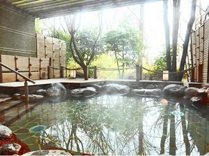 ���邭�J���I�ȉ���I�V���C