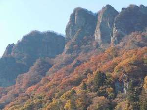 ���`�R�@�H�̑���