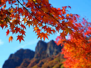 �K���E�g�t�̉f���閭�`�R�I