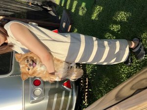 ����������