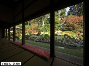 景觀