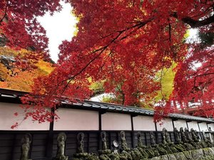 ȍ@I[xW@V[Of̎{ݎʐ^1