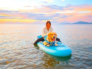 【アクティビティ】SUP