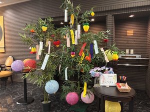 七夕装飾をしています!