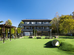 �����p���_�C�X �v���~�A �R���΂̎ʐ^