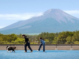 わんわんパラダイス プレミア 山中湖の施設写真1