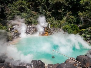 �y�ʕ{�n���߂���u�C�n���v�z�Ԃ�15��