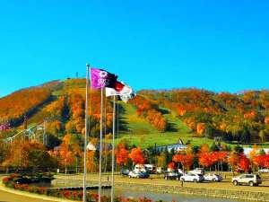 秋は紅葉する山をバックに秋の風にはためくフラッグ(イメージ)