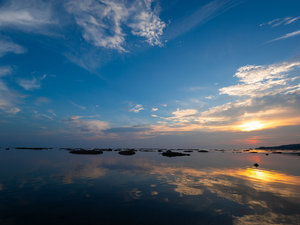 �y�L�m��C�݁z ��̓��̊C�ʂ́A�܂�ŃE���j���΁B�u���{�̏��i�Ȃ����j�S�I�v�ɂ��I�΂ꂽ�H�c�����̊C