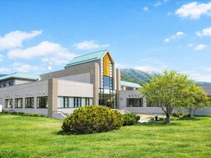 �A�|�C�R���̎ʐ^