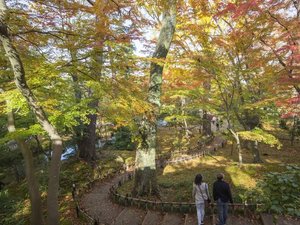 兼六園 ※画像提供:金沢市