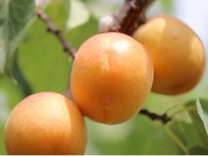 �z�e�����[�g�C���R�[�g��ȍX���̎{�ݎʐ^1