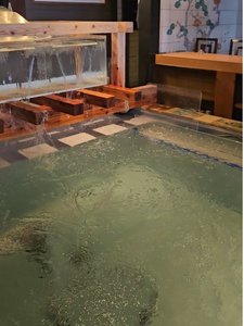 いけす博多屋