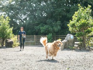 【ドッグラン】ご自由にご利用いただけます♪