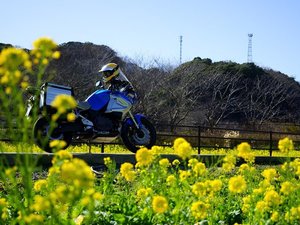 �c�[�����O���ɂ��œK�I