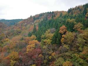 �y�g�t�V�[�Y���z�����̍g�t