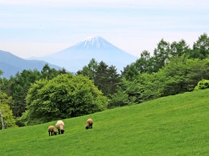 【八ヶ岳】長野から山梨に連なる日本百名山のひとつ