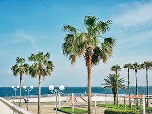 パーク周辺では、お土産ショッピングやランチも気軽に楽しめます。