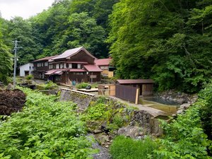 �X�g�R����@�����ȐX�̓��̎ʐ^