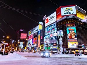 すすきの(冬)