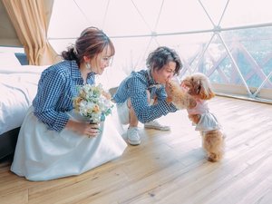【ペットと泊まれる宿】ワンちゃんファースト!犬種・頭数制限なし!追加料金なし
