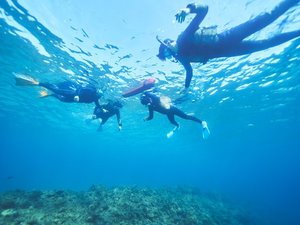 �y�}�����A�N�e�B�r�e�B�z�����x�̍������Ǌ_�A�C�����h�̊C�֖`���̗��ɏo�����܂��傤�B