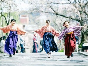 �z�e���Ζ{�̎{�ݎʐ^1