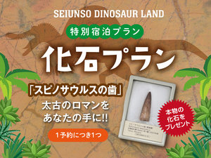青雲荘恐竜ランド特別プラン!本物の化石を1予約につき1つプレゼント!太古のロマンをあなたの手に