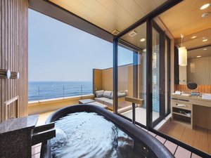 �e���Xseashore�G�O�[�N�e�B�u���[��