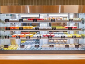 �r���b�t�F���[��