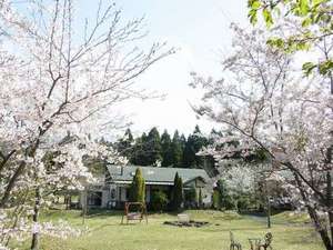 阿蘇郡高森町のホテル 旅館 宿泊予約 じゃらんnet