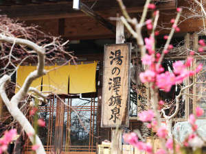 【茨城県:北茨城・奥久慈・日立】湯の澤鉱泉