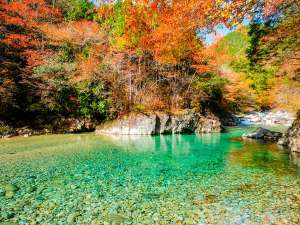 tHXpؑ]@Ă瑑̎{ݎʐ^1