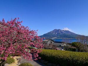 「篤姫」のロケ地でも有名な仙厳園。ホテルよりクルマで約15分。 写真協力:公益社団法人鹿児島県観光連盟
