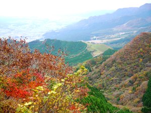 �y�g�t�z�O���[�����[�h�숢�h�E�n�����t��