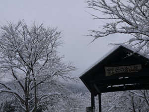 ���|�̑q�R���@����~�̓���i�F