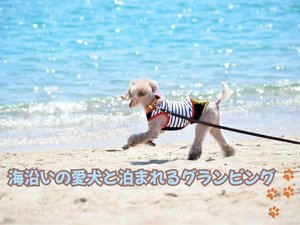 澄んだ海「田曾白浜ビーチ」でのお散歩♪
