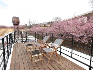 スタンダードヴィラのルーフトップテラスから見える河津桜撮影時期:23年2月下旬