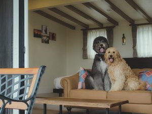 愛犬との滞在一例