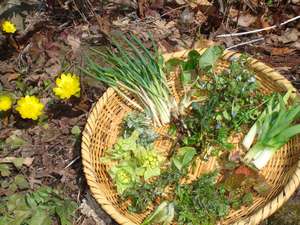 �ˉB�_�Ё@�h�V�n�ӂ̎{�ݎʐ^1