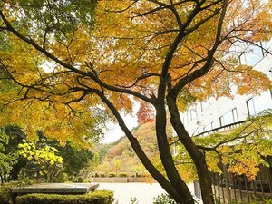 中庭・外観