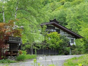 ��������@�����̓��@�����̎ʐ^