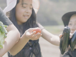 #収穫体験 収穫した野菜は一番美味しいその日のうちにお召し上がりいただけます。