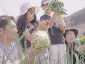 #収穫体験 近隣の契約農場で育てた野菜の収穫を体験してみよう♪