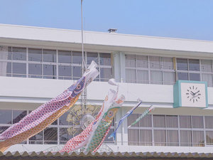 #校庭 桜が咲き、空に鯉のぼりが泳ぐ那須ユートピアの春。